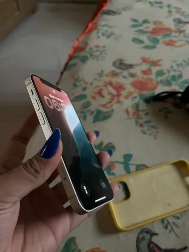 iPhone 12 mini 