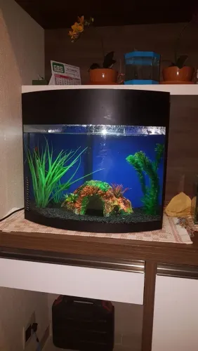 Aquário de 50 Litros