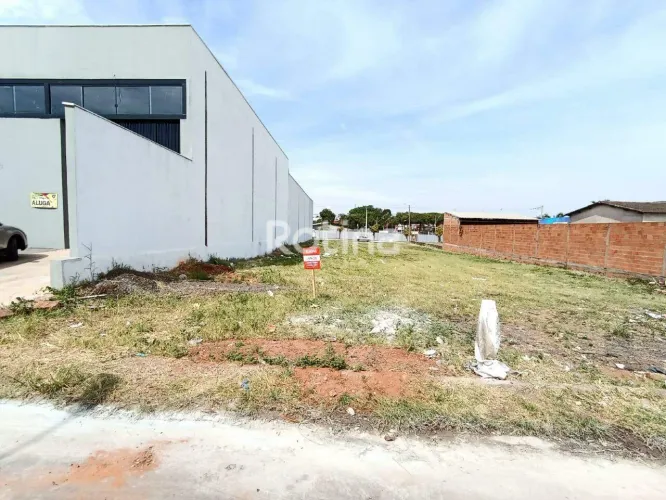 Área à venda, Pampulha - Uberlândia/MG - Rotina Imobiliária
