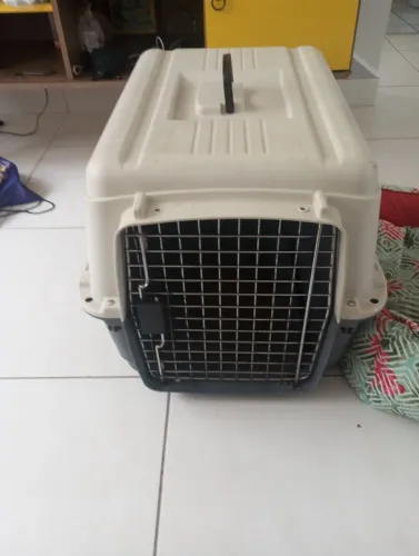 Caixa para Transporte cães e Gatos Tamanho XG