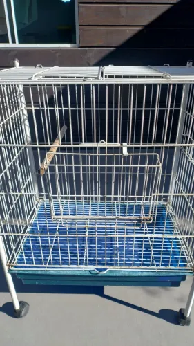 Gaiola para calopsita