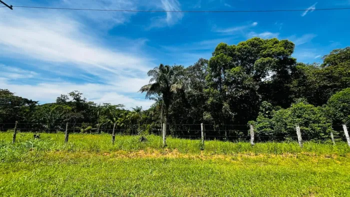 OPORTUNIDADE ÚNICA TERRENOS ÀS MARGENS DA PR-408 - PREÇOS A PARTIR DE R$ 62.172,00