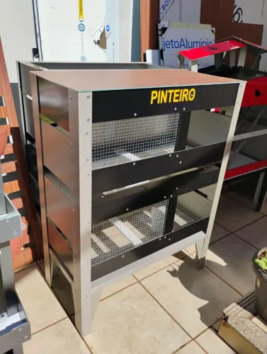 Pinteiro