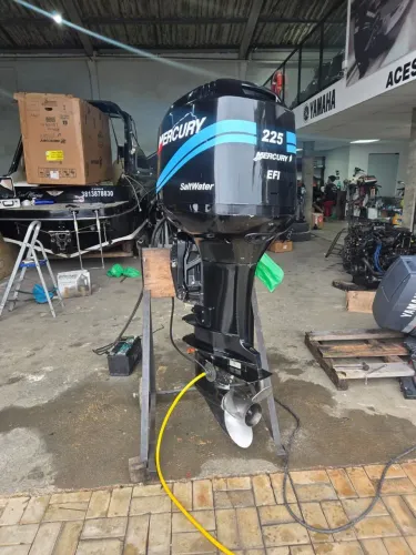 Motor 225