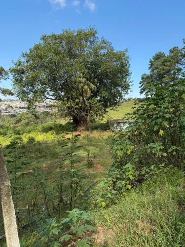 Terreno de 1.000 para chácara 