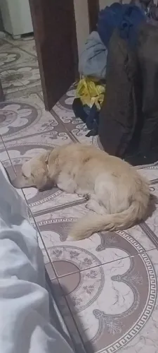 doaçao