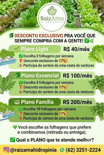 Verduras frescas VAREJO