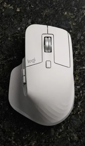 Mouse