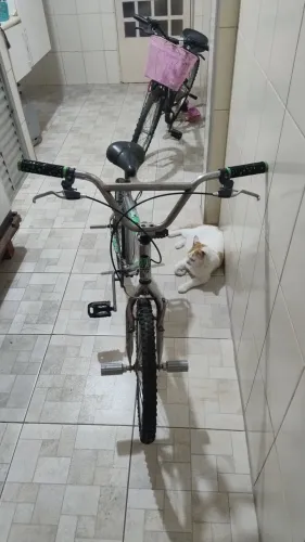 Bicicleta BMX