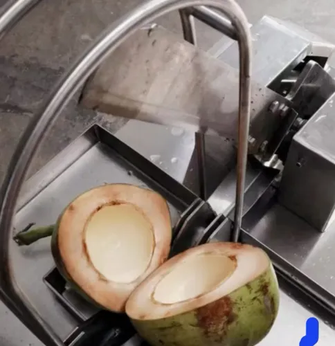 Máquina hidráulica automática para corte coco verde e seco