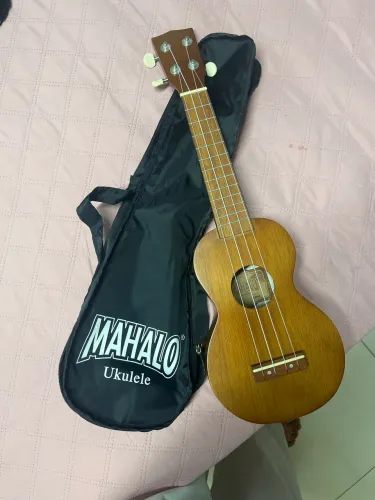 Ukulele 