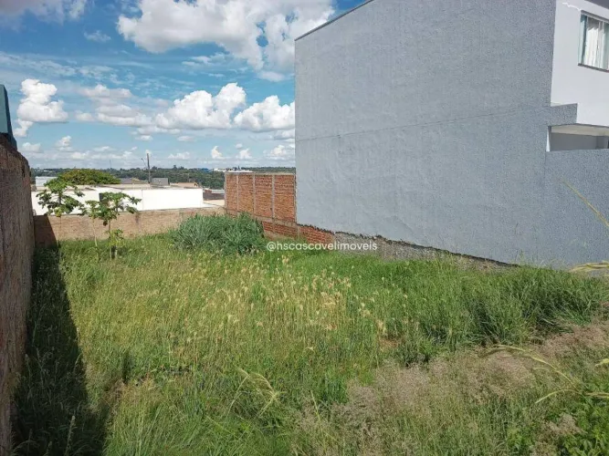 Terreno à venda, 250 m² - Floresta - Cascavel/PR