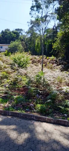 Terreno escriturado próximo asfalto e da Pedra Azul