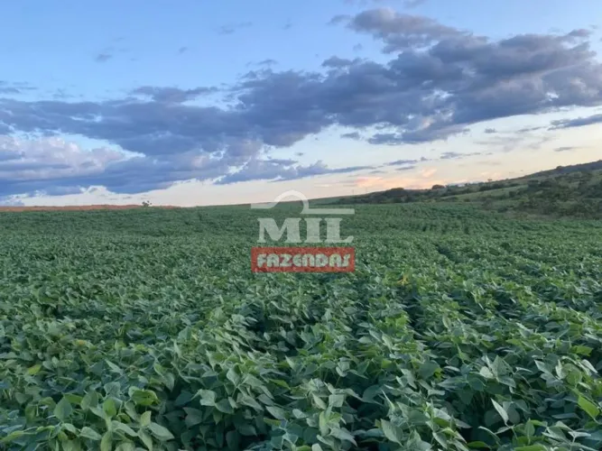 Fazenda Agrícola em Alvorada do Norte-GO.(213 Alqueires)