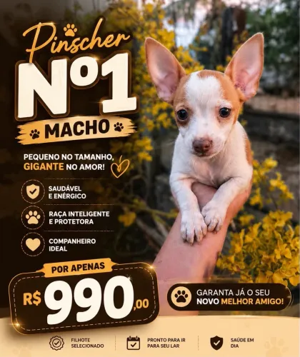 Pincher