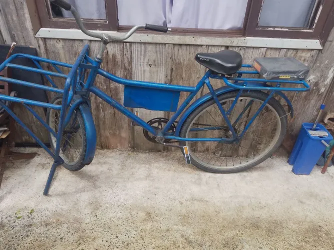Bicicleta cargueira