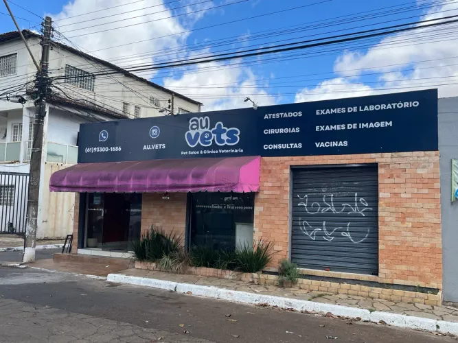 Oportunidade  Pet Shop petshop banho e tosa  Montado e Faturando - pistão sul 