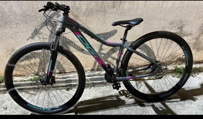 Bicicleta oggi aro 29