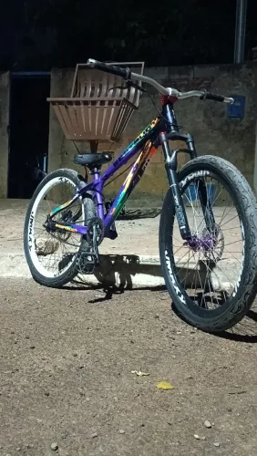 Bicicleta