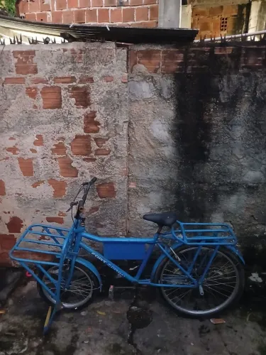 Bicicleta de carga 