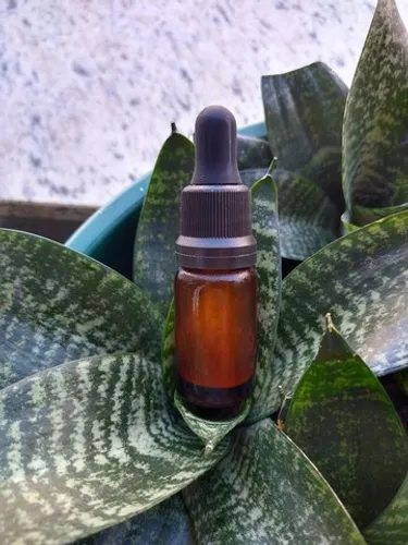 Sananga 10 ml