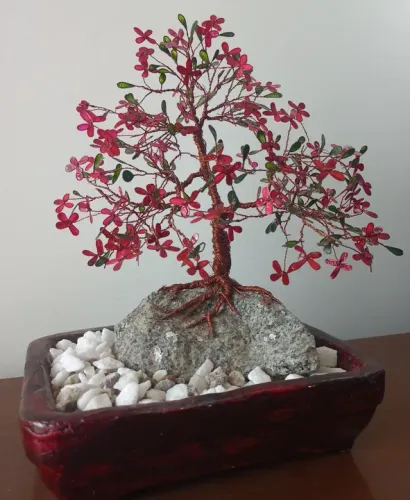 Bonsai, bonzai, arranjo permanente 