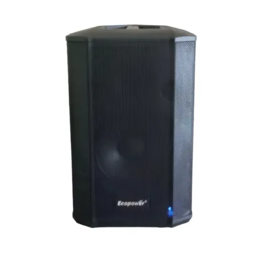 Caixa som profissional bluetooth recarregável + 2 microfones sem fio
