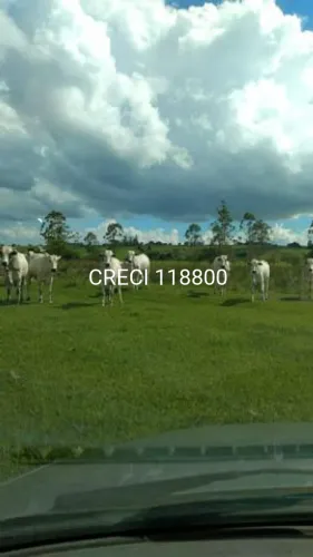Chácara/Sítio para Venda Centro Laranjal Paulista