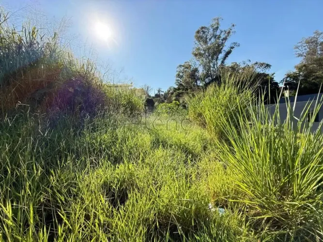 Terreno a venda no Loteamento Alto das Figueiras, bairro Marambaia em Vinhedo - São Paulo.