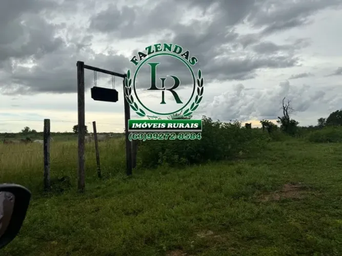 Fazenda 255 Alqueires, 1234 hectares, Região Gurupi-Tocantins