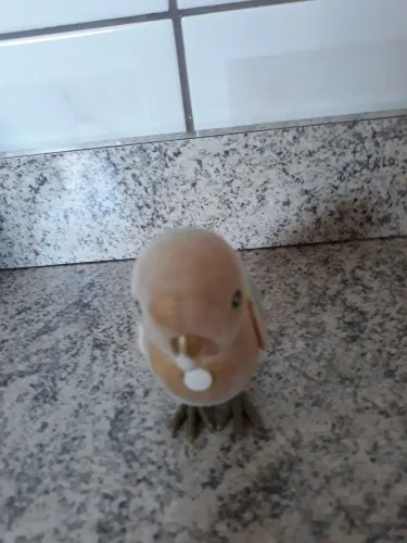 Little Live Pets - Passarinho Branco