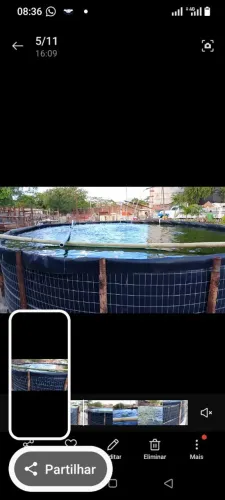 Vende ou trocaTanque para peixes e camarão 