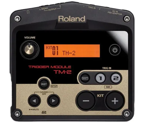 Roland TM-2 | Módulo de Som