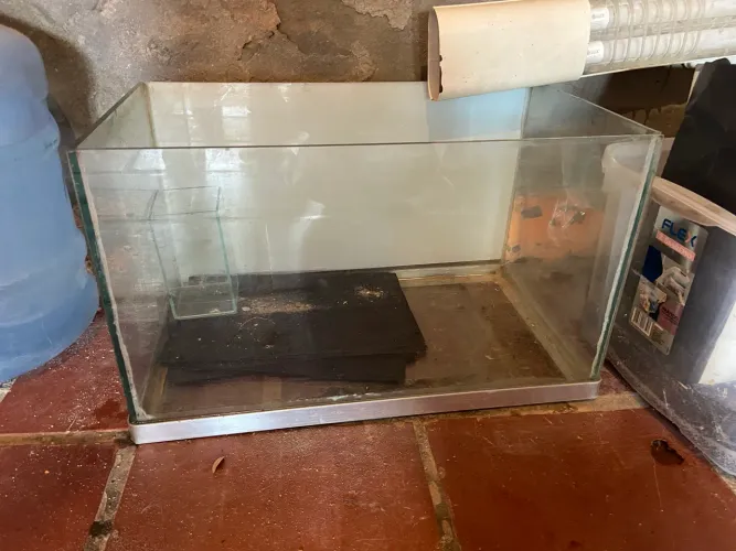 Lote de aquários usados 