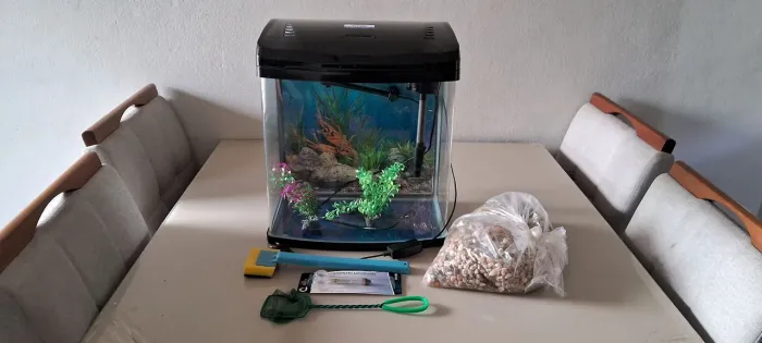 Aquário Fish Tank