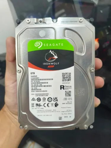 HD 6TB Ironwolf NAS (1 unidade)