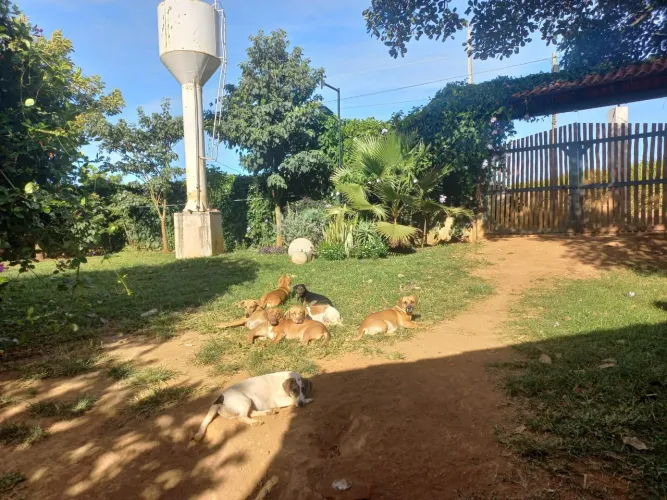 CHÁCARA BONFINÓPOLIS 