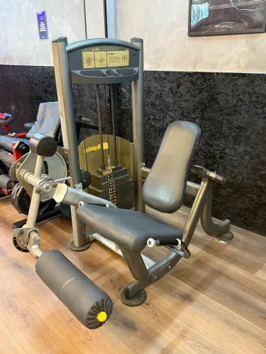 Cadeira Extensora Welness Impulse
