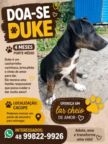 Doação 