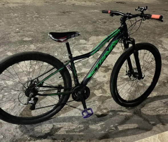 Bicicleta de marcha aro 29