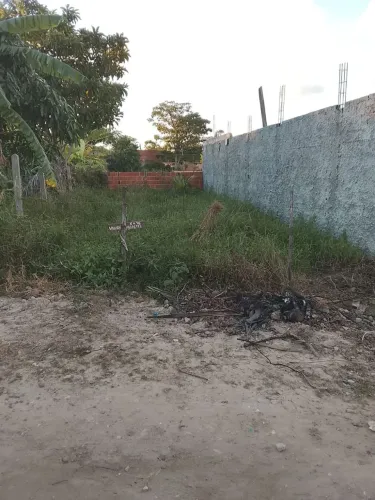 Terreno 6x16, Jardim das Palmeiras.