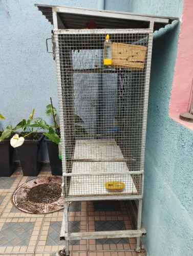 Viveiro para pássaro
