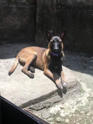 Doação