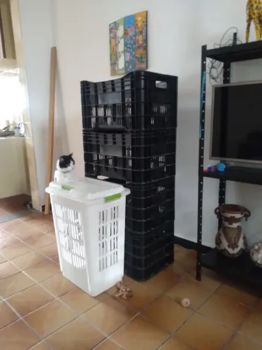 4 caixas organizadoras e 1 cesto para roupas