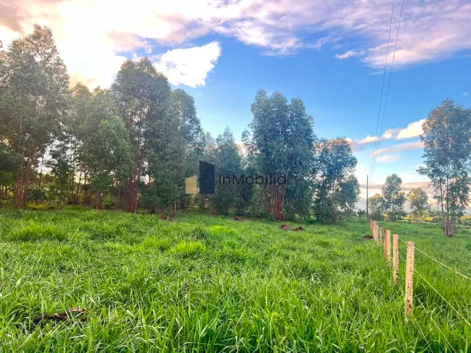 CHÁCARA 6 MIL METROS TRINDADE SENTIDO CAMPESTRE