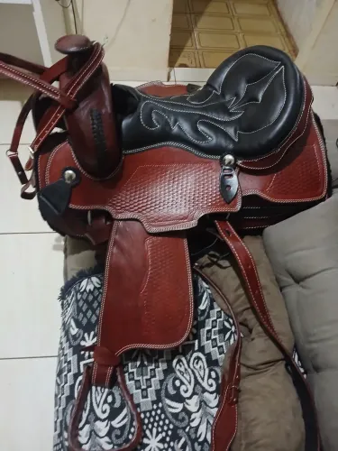 Sela americana bruta