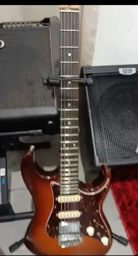 Guitarra Tagima horney brust 