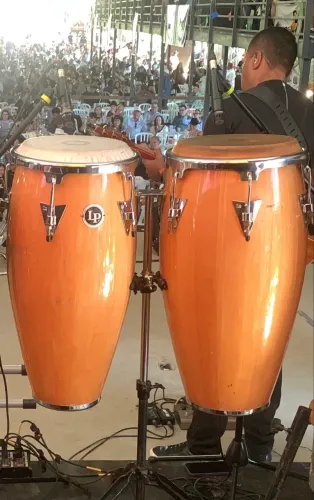 Vendo conga Lp aspire 11,12