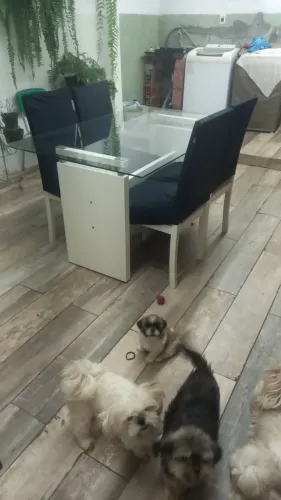 Mesa de vidro com quatro cadeiras