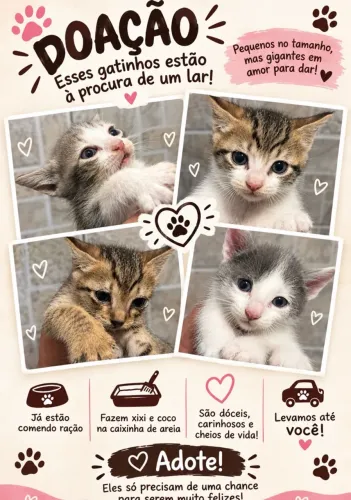 ADOÇÃO DE GATINHOS